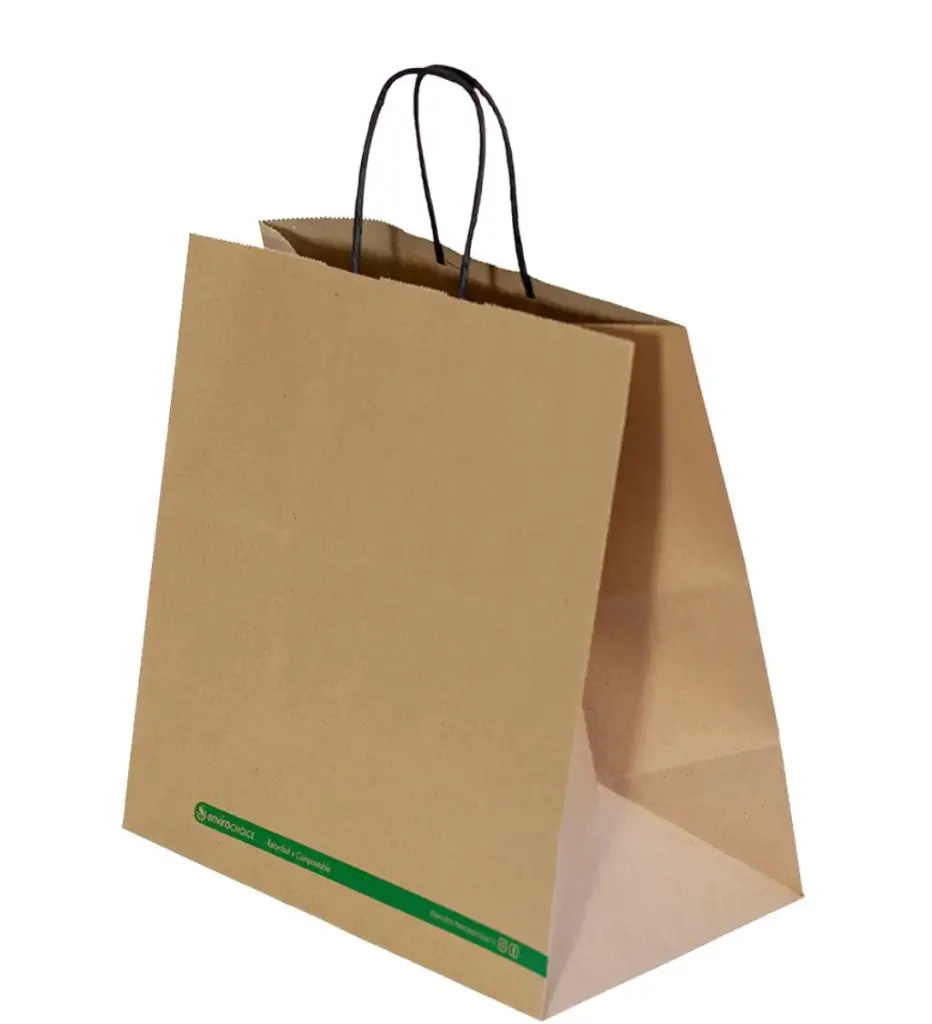  Carry Paper Bag (EP-PB003) Twist Handle Kraft (300x300x175mm) x 250pcs 
